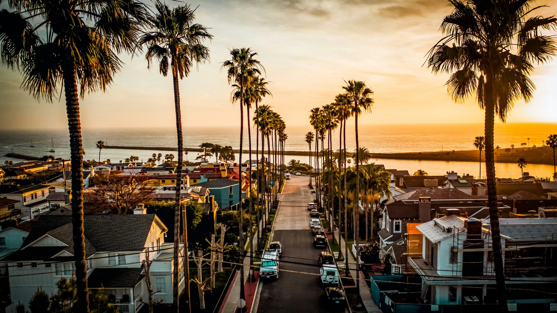 Palm-lined street leading to the harbor at sunset in Corona del Mar, Orange County